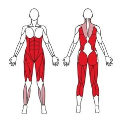 Iron Gym Figure Twister -Gymstick Salgsbutik 1506 68 iron gym figure twister 6