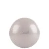 Gym Ball, Soft Lilac -Gymstick Salgsbutik 54412 653R Casall gym ball juni21